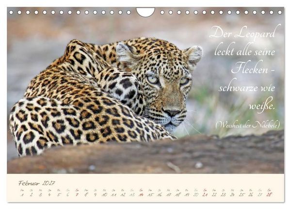 Produktbild: AFRIKA mit einem Hauch von Poesie (Wandkalender 2027 DIN A4 quer), CALVENDO Monatskalender