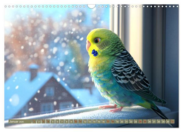 Produktbild: Im Wellensittich Wunderland (Wandkalender 2026 DIN A3 quer), CALVENDO Monatskalender