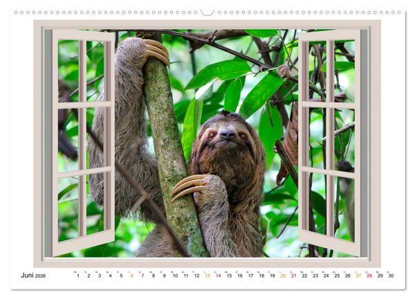 Produktbild: Fenstergucker - tierische Freunde an der Wand (Wandkalender 2026 DIN A2 quer), CALVENDO Monatskalender