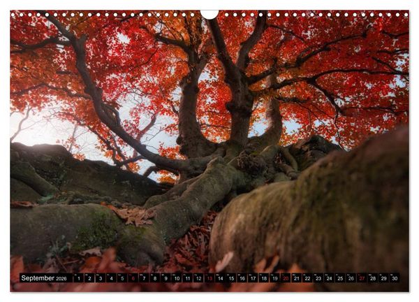 Produktbild: Lichtstimmungen Th&uuml;ringen - Eine Reise von Morgens bis Abends (Wandkalender 2026 DIN A3 quer), CALVENDO Monatskalender