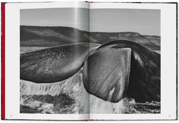 Produktbild: Sebasti&atilde;o Salgado