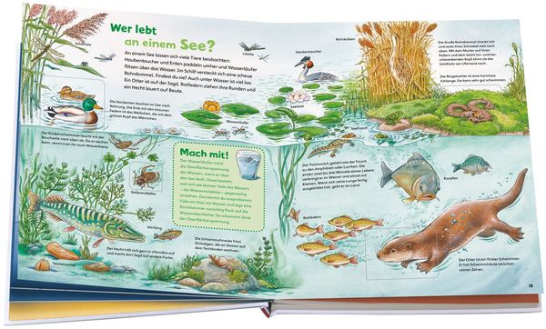 Produktbild: WAS IST WAS Junior Entdecke die Natur