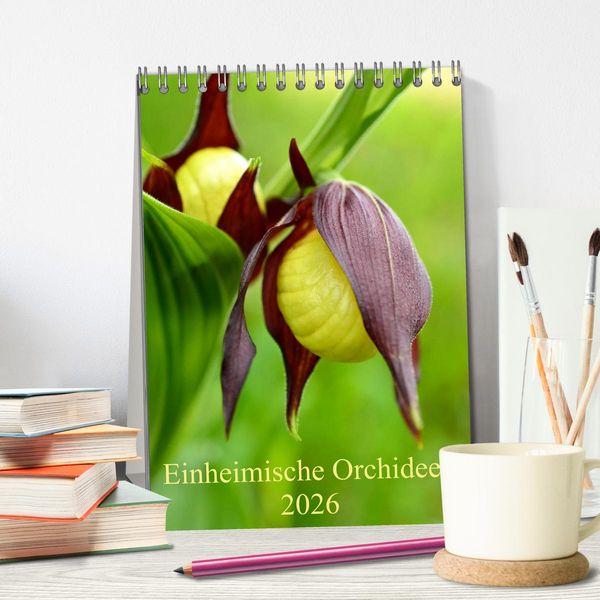 Produktbild: Einheimische Orchideen (Tischkalender 2026 DIN A5 hoch), CALVENDO Monatskalender