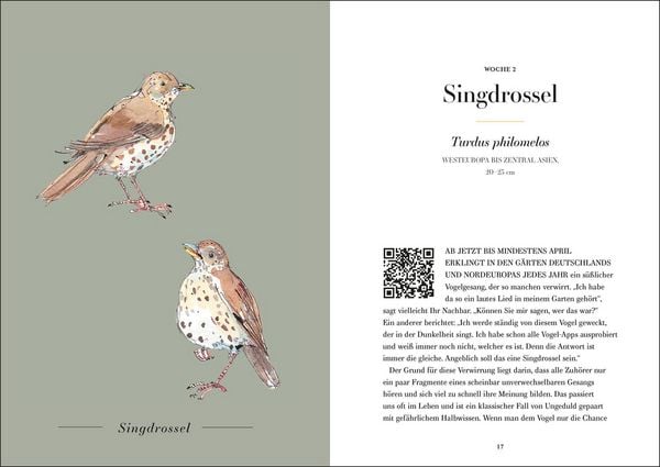Produktbild: Der Gesang der V&ouml;gel