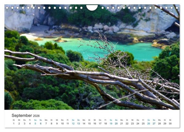 Produktbild: Vielfalt Neuseeland (Wandkalender 2026 DIN A4 quer), CALVENDO Monatskalender