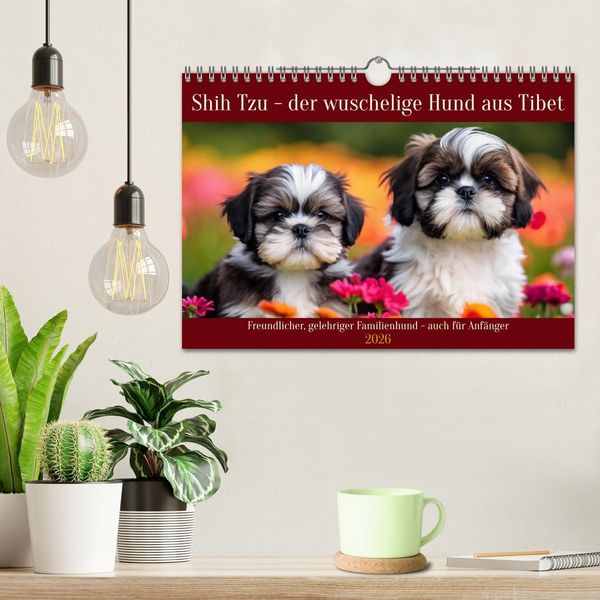 Produktbild: Shih Tzu - der wuschelige Hund aus Tibet (Wandkalender 2026 DIN A4 quer), CALVENDO Monatskalender