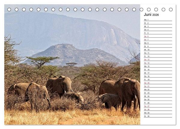 Produktbild: Elefanten . Wildlife in Kenia (Tischkalender 2026 DIN A5 quer), CALVENDO Monatskalender