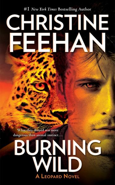 Produktbild: Burning Wild