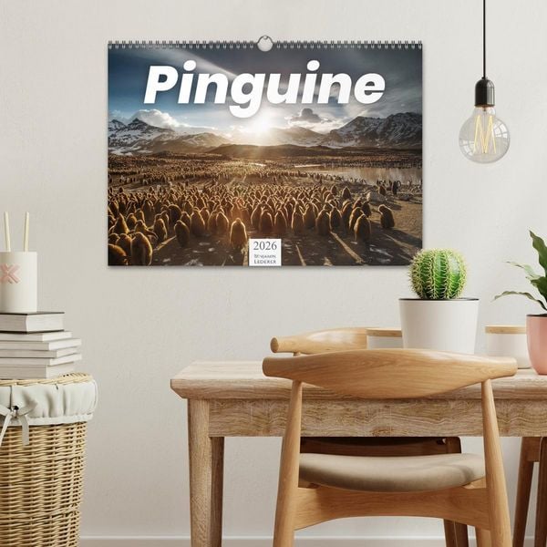 Produktbild: Pinguine - Die sympathischen Frack-Tr&auml;ger (Wandkalender 2026 DIN A3 quer), CALVENDO Monatskalender