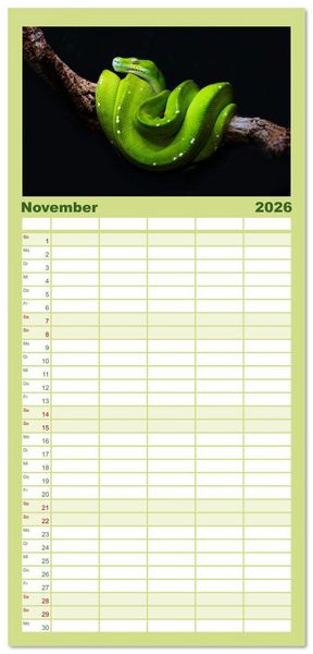 Produktbild: Familienplaner 2026 - Faszination Schlangen mit 5 Spalten (Wandkalender, 21 x 45 cm) CALVENDO