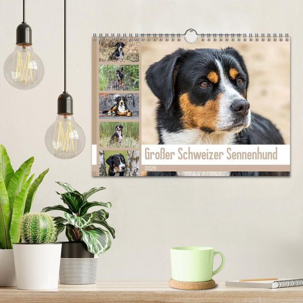 Produktbild: Gro&szlig;er Schweizer Sennenhund (Wandkalender 2026 DIN A4 quer), CALVENDO Monatskalender
