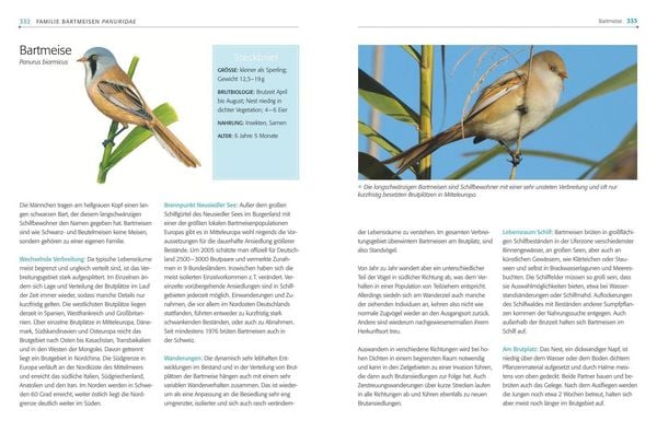 Produktbild: Das BLV Handbuch V&ouml;gel