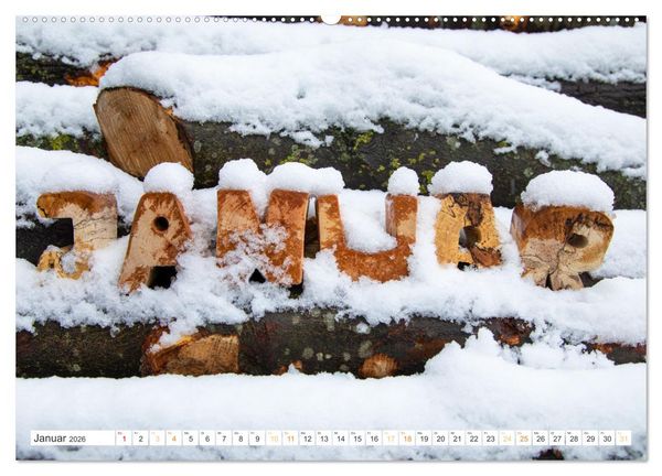 Produktbild: Holz, ein fantastischer Rohstoff. (Wandkalender 2026 DIN A2 quer), CALVENDO Monatskalender