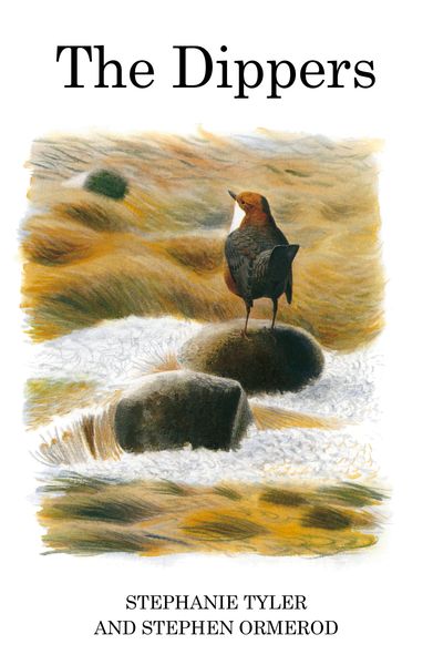 Produktbild: The Dippers