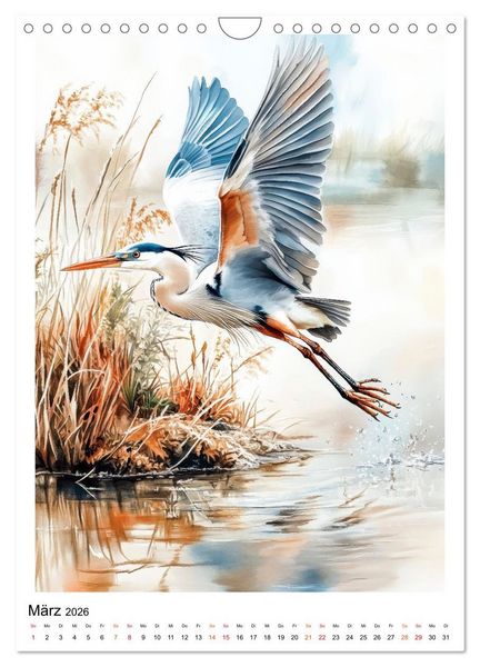 Produktbild: V&ouml;gel - gefiederte Freunde in Wald und Feld (Wandkalender 2026 DIN A4 hoch), CALVENDO Monatskalender