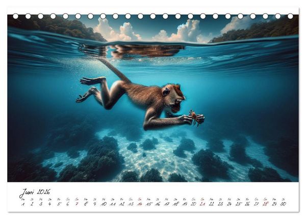 Produktbild: Die besten Naturbilder des Jahres - Einzigartige Augenblicke (Tischkalender 2026 DIN A5 quer), CALVENDO Monatskalender