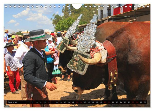 Produktbild: El Rocio - Andalusiens faszinierende Wallfahrt (Wandkalender 2026 DIN A4 quer), CALVENDO Monatskalender
