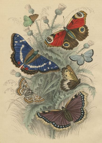 Produktbild: John Derian Paper Goods: Dancing Butterflies 750-Piece Puzzle