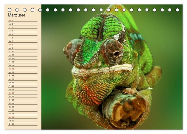 Produktbild: Reptilien. Schlangen, Echsen und Co. (Tischkalender 2026 DIN A5 quer), CALVENDO Monatskalender
