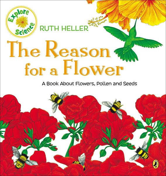 Produktbild: The Reason for a Flower