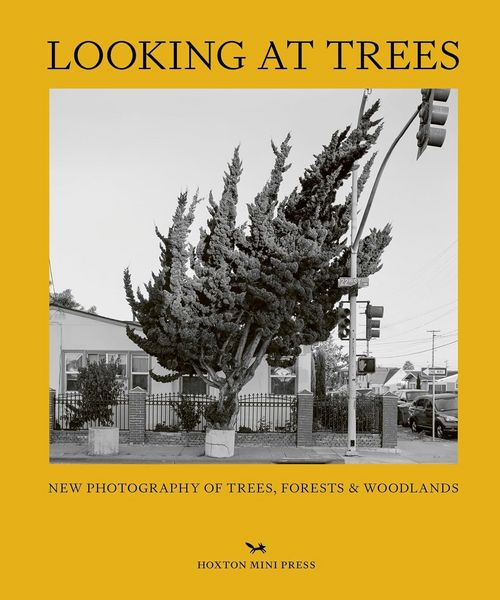Produktbild: Looking At Trees