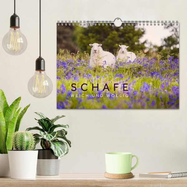 Produktbild: Schafe - Weich und wollig (Wandkalender 2026 DIN A4 quer), CALVENDO Monatskalender