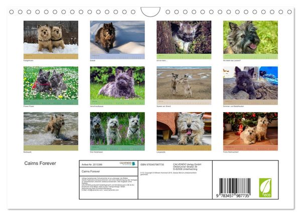 Produktbild: Cairns Forever (Wandkalender 2026 DIN A4 quer), CALVENDO Monatskalender