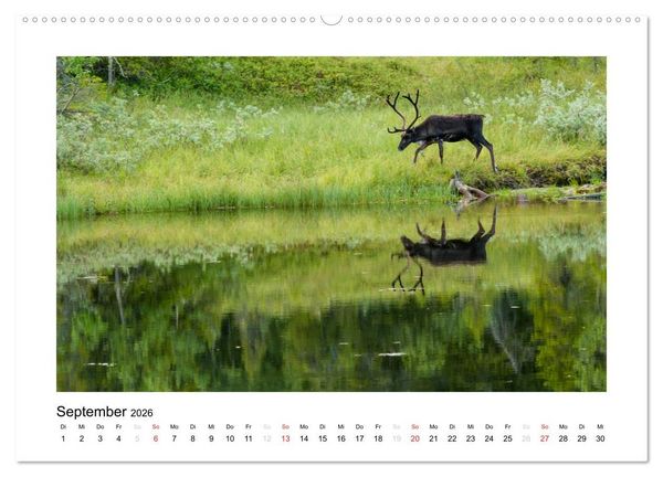 Produktbild: Magisches Nordland. Eine Reise in das Herz Skandinaviens (Wandkalender 2026 DIN A2 quer), CALVENDO Monatskalender