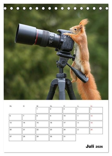 Produktbild: Die kleine Welt der Eichh&ouml;rnchen in Regensburg (Tischkalender 2026 DIN A5 hoch), CALVENDO Monatskalender
