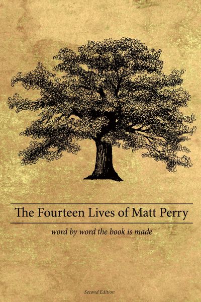 Produktbild: The Fourteen Lives of Matt Perry
