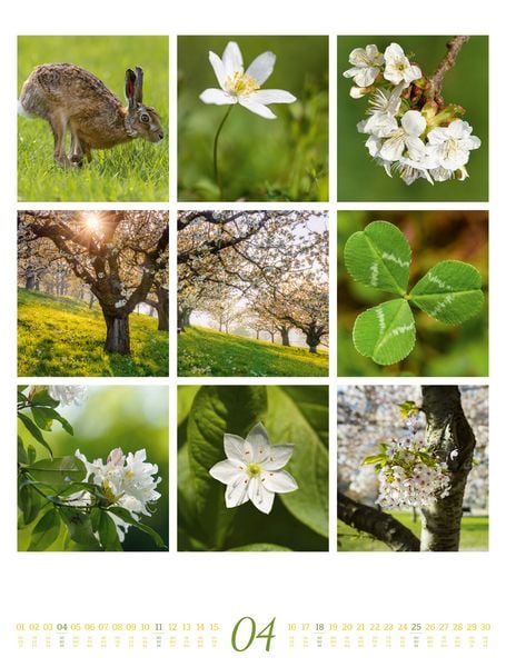 Produktbild: Inspiration Natur Kalender 2027