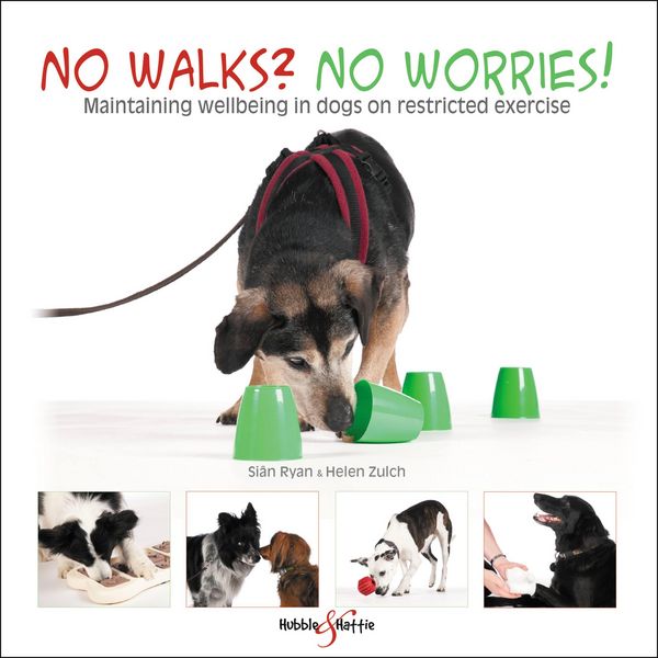 Produktbild: No walks? No worries!