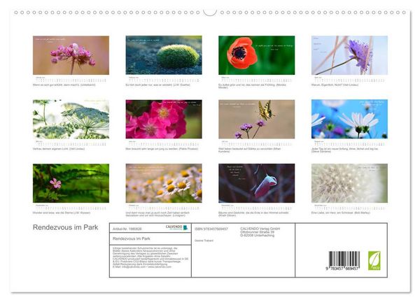 Produktbild: Rendezvous im Park (hochwertiger Premium Wandkalender 2026 DIN A2 quer), Kunstdruck in Hochglanz