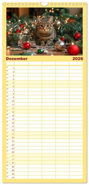 Produktbild: Familienplaner 2026 - Momente eines Katzenbesitzers - Chaos der Samtpfoten mit 5 Spalten (Wandkalender, 21 x 45 cm) CALVENDO