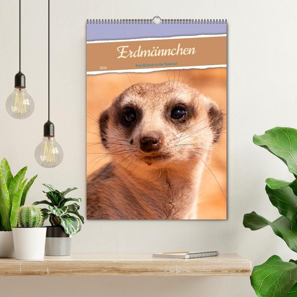 Produktbild: Erdm&auml;nnchen - Eine Kolonie in der Kalahari (Wandkalender 2026 DIN A2 hoch), CALVENDO Monatskalender