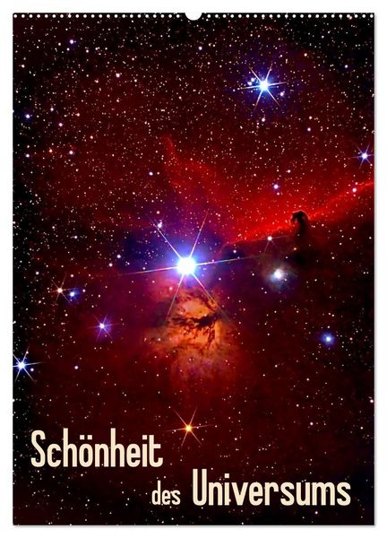 Produktbild: Sch&ouml;nheit des Universums (Wandkalender 2026 DIN A2 hoch), CALVENDO Monatskalender