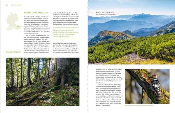 Produktbild: Unsere W&auml;lder