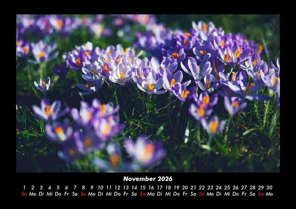 Produktbild: Blumenkalender 2026 Fotokalender DIN A3