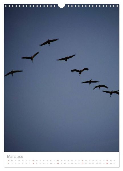 Produktbild: Der Flug der Kraniche (Wandkalender 2026 DIN A3 hoch), CALVENDO Monatskalender