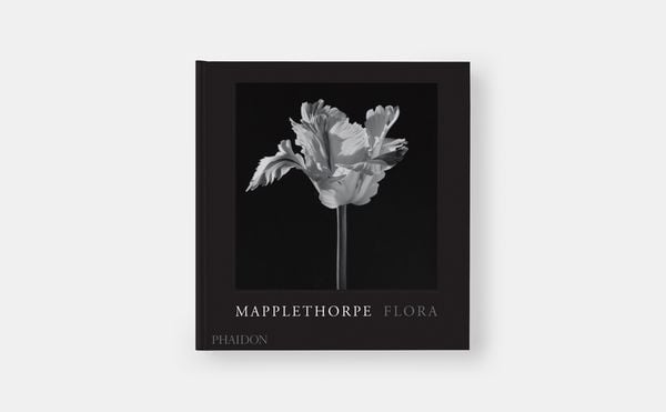 Produktbild: Mapplethorpe Flora: The Complete Flowers (2024)