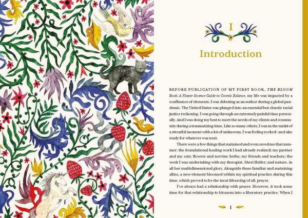Produktbild: The Uncommon Book of Prayer