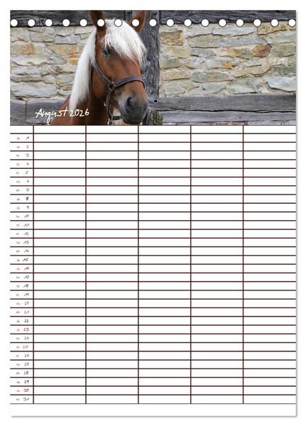 Produktbild: Der Kaltblut-Familienplaner (Tischkalender 2026 DIN A5 hoch), CALVENDO Monatskalender