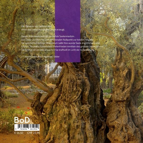 Produktbild: Olivenbaum