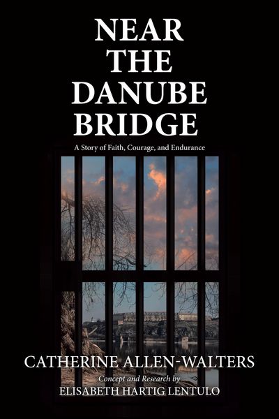 Produktbild: Near the Danube Bridge
