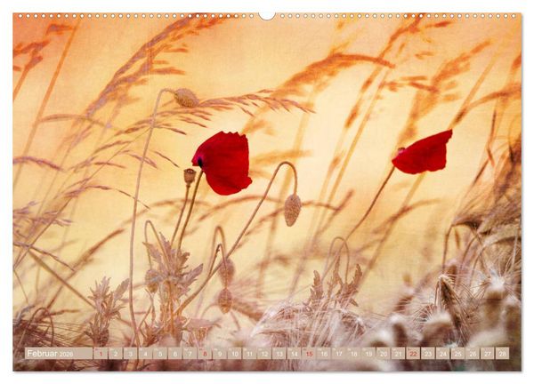 Produktbild: Mohnblumen - Fotografie mit Magie (hochwertiger Premium Wandkalender 2026 DIN A2 quer), Kunstdruck in Hochglanz