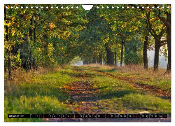 Produktbild: Oderlandschaft (Wandkalender 2026 DIN A4 quer), CALVENDO Monatskalender