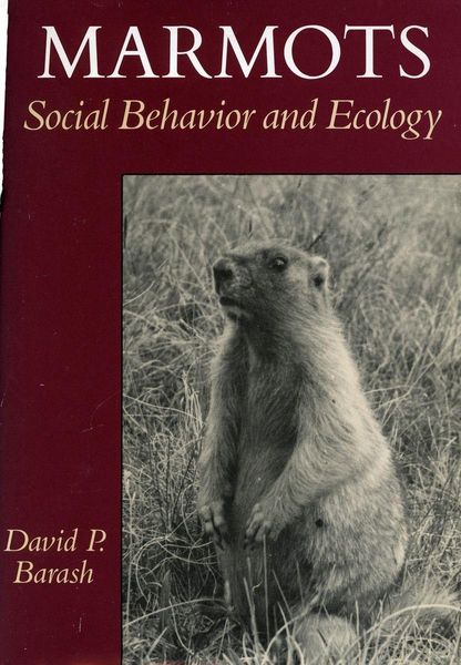 Produktbild: Marmots