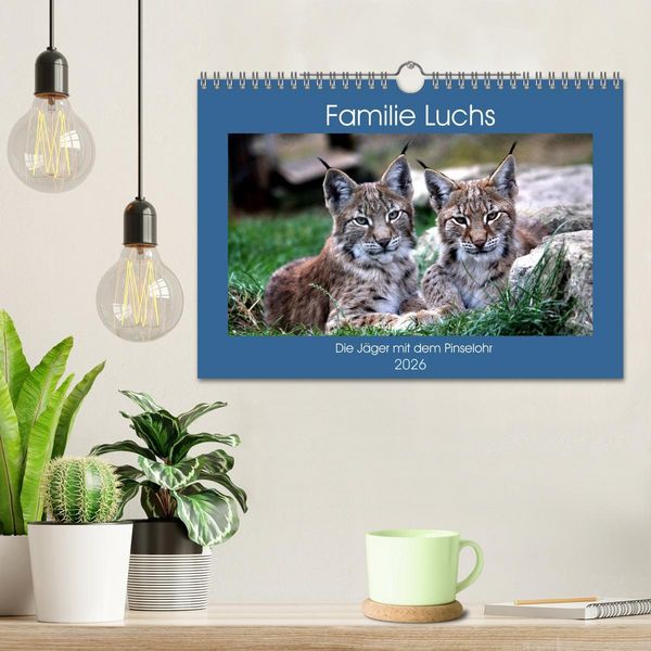 Produktbild: Familie Luchs - Die J&auml;ger mit dem Pinselohr (Wandkalender 2026 DIN A4 quer), CALVENDO Monatskalender