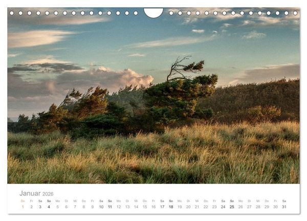 Produktbild: Traumziel D&auml;nemark (Wandkalender 2026 DIN A4 quer), CALVENDO Monatskalender