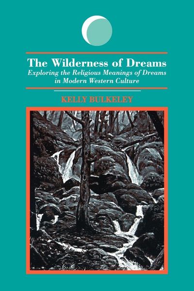 Produktbild: The Wilderness of Dreams